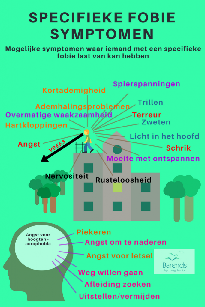 Omgaan met fobieën. Alle mogelijke symptomen en klachten die iemand met een specifieke fobie kan hebben: kortademigheid, spierspanningen, trillen, terreur, licht in het hoofd, schrik, transpireren, hartkloppingen, overmatige waakzaamheid, ademhalingsproblematiek, nervositeit en rusteloosheid.