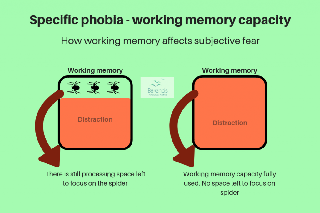 How working memory affects subjective fear. Coping with phobias.