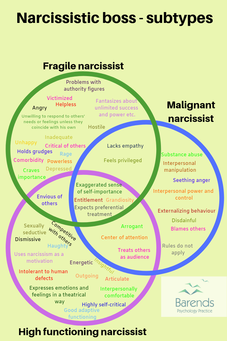 Narcissistic Boss Subtypes Malignant Narcissist Fragile Narcissist High Functioning Narcissist 